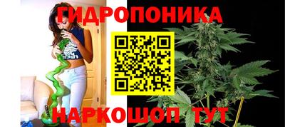 мяу мяу мука Будённовск