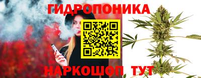 мяу мяу мука Будённовск